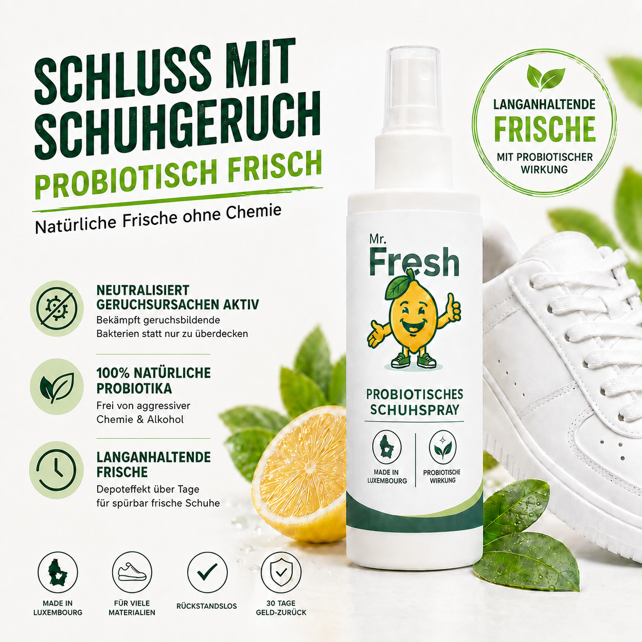 Mr. Fresh Spray