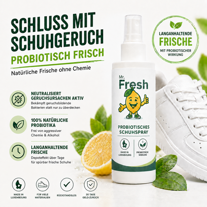 Mr. Fresh Spray